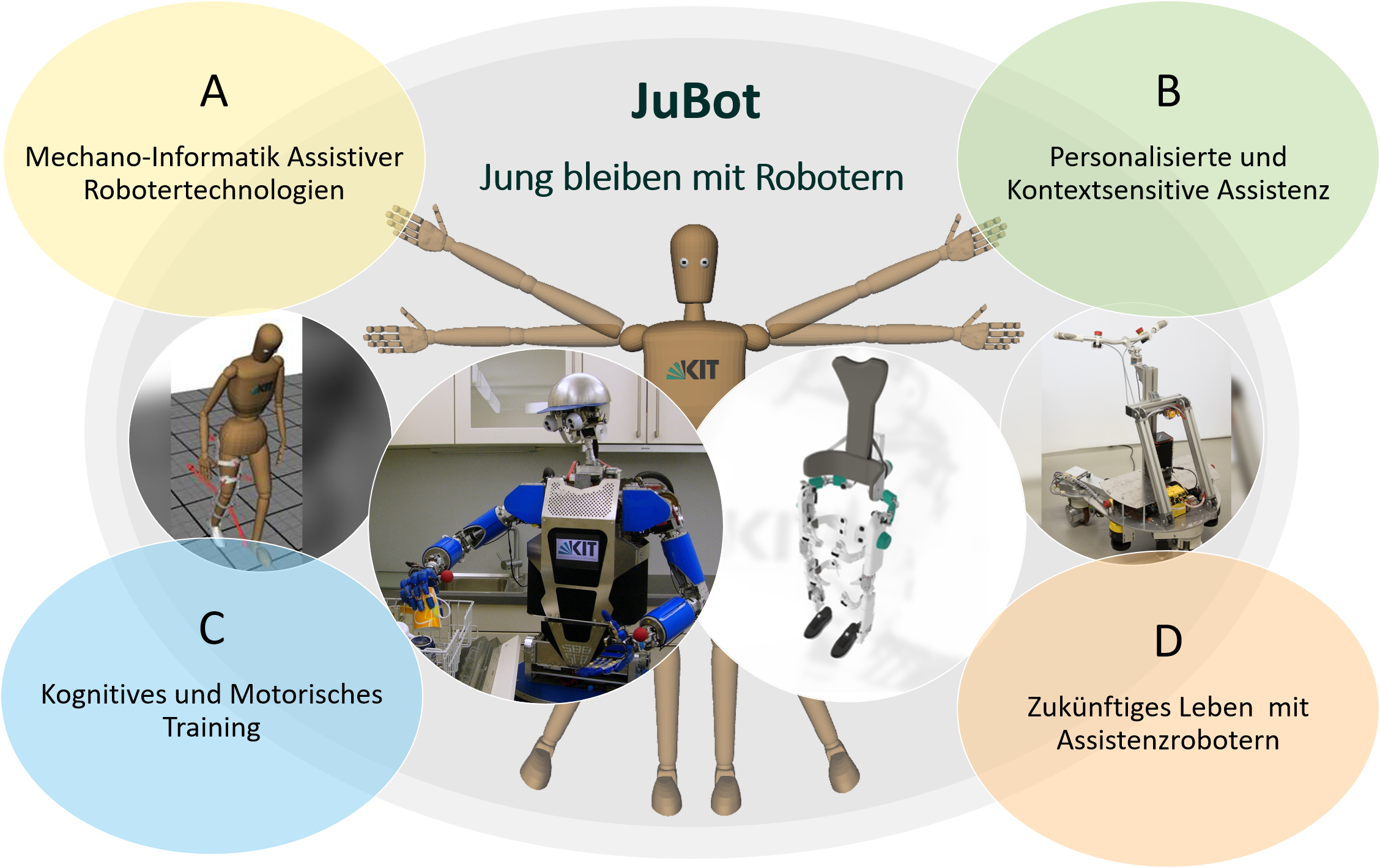 JuBot Forschungsbereiche