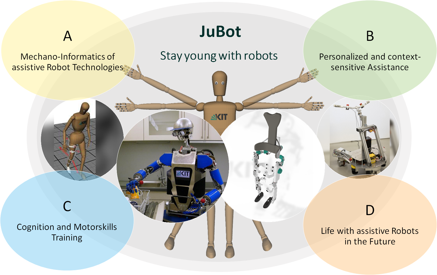 JuBot research areas